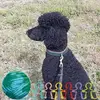 Nancy Gehrman - @nancy.gehrman - TikTok