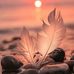 Nancy Eichhorn - Facebook