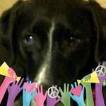 Nancy Eichler - @nancy.eichler.35 - Instagram