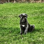Nancy Eisenhardt - @nancyeisenhardt - Instagram