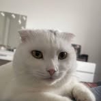 Nancy Ek - Facebook