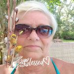 Nancy Elkins - @nancyelkins32 - Instagram