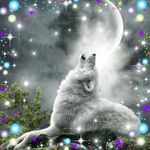 Nancy Ellefson - @silverwolfne - Instagram