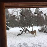 Nancy Elmore - @twoflowers74 - Instagram