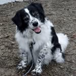 Nancy Elmore Hargis - @hargis9350 - Instagram