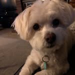 Nancy Zampelli Elmore - @nzampellielmore - Instagram
