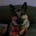 Nancy Elrod - @nancy.elrod.77 - Instagram