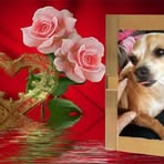 Nancy Elrod Thomas - Facebook
