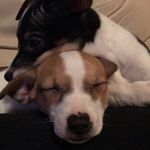 Nancy Emerson - @nmemerson65 - Instagram