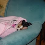Nancy Emerson Paulson - Facebook