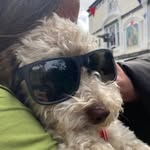 Nancy - @nancyemmeline5 - Instagram
