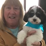 Nancy Engelbert - @nanny830 - Instagram