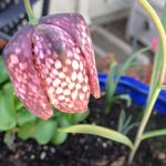 Nancy Engstrom - @nancy.engstrom - Instagram