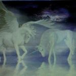 Nancy Engstrom - @nancy.engstrom.581 - Instagram