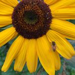 Nancy Phares Engstrom - @nanstrom16 - Instagram