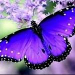 Nancy Engstrom - @engstromnancy - Instagram