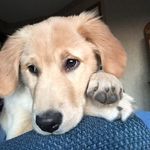 Nancy Enstrom - @enstromnancy - Instagram