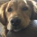 Nancy Enstrom - Facebook