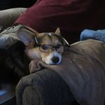Nancy Ericksen - @nancyericksen - Instagram