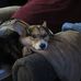 Nancy Ericksen - Facebook
