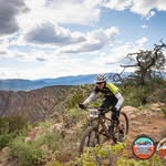 Nancy Tipton Ervin - @abqnancyt - Instagram