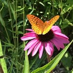@nancy_eschbach_lcsw - Instagram