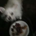 Nancy Etchison - Facebook