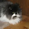 Nancy Etheridge - @nancy.etheridge - TikTok