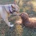 Nancy Etter - Facebook