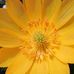 Nancy Graves-ellrodt - Facebook