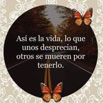 Nancy Eusebio - @eusebionancy1983 - Instagram