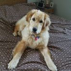 Nancy Eve - Facebook