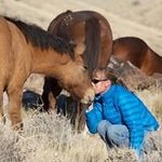 Nancy Cleveland - @nancycleveland1 - Instagram