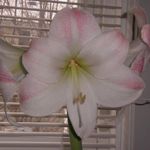 Nancy Cleveland - @nancycleveland5120 - Instagram