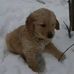 Nancy Jones Eveland - Facebook