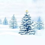Nancy Smith Eveland - @kansassunflower7 - Instagram