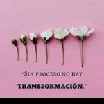Nancy Evelyn - @nancyevelyn57 - Instagram