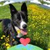 Nancy Evers - Facebook