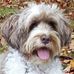 Nancy Evers - Facebook