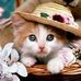 Nancy Evers - Facebook