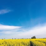 Nancy Urrutia - Facebook
