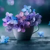 Nancy Faircloth - @nancyfaircloth1 - TikTok