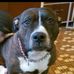 Nancy Fairhurst - Facebook