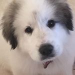 Nancy Faller - @faller.nancy - Instagram