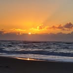 Nancy Falvey - Facebook