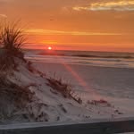 Nancy Falvey - @njfalvey710 - Instagram