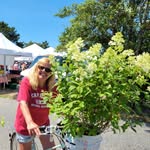 Nancy Falvey - @falveynancy - Instagram
