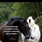 Nancy Farfan - Facebook