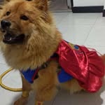 Nancy Farfan - @nancy.farfan.777 - Instagram