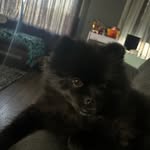 Nancy Fast - @banditmy_baby - Instagram